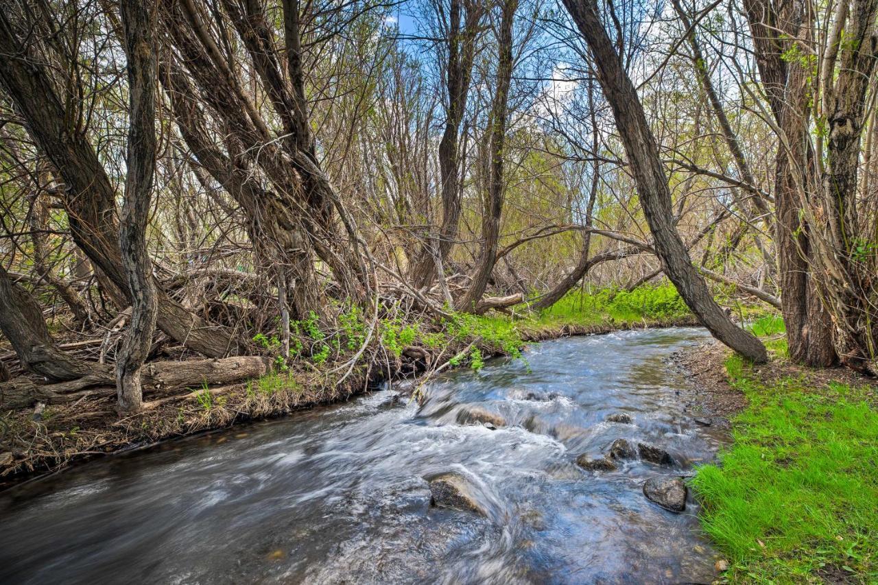 Mammoth Lakes Nature Escape Hot Tub Access! Esterno foto